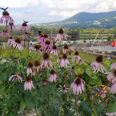 Chalet Beskidzka Ostoja - Miejsce Z Dusza Ustron