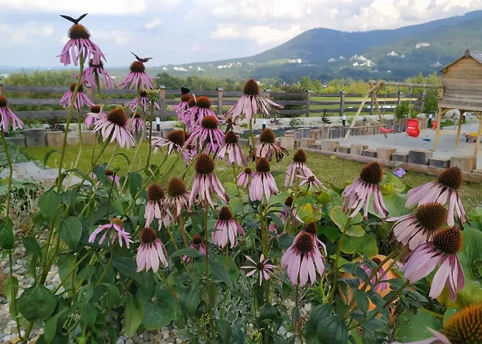 Chalet Beskidzka Ostoja - Miejsce Z Dusza Ustron
